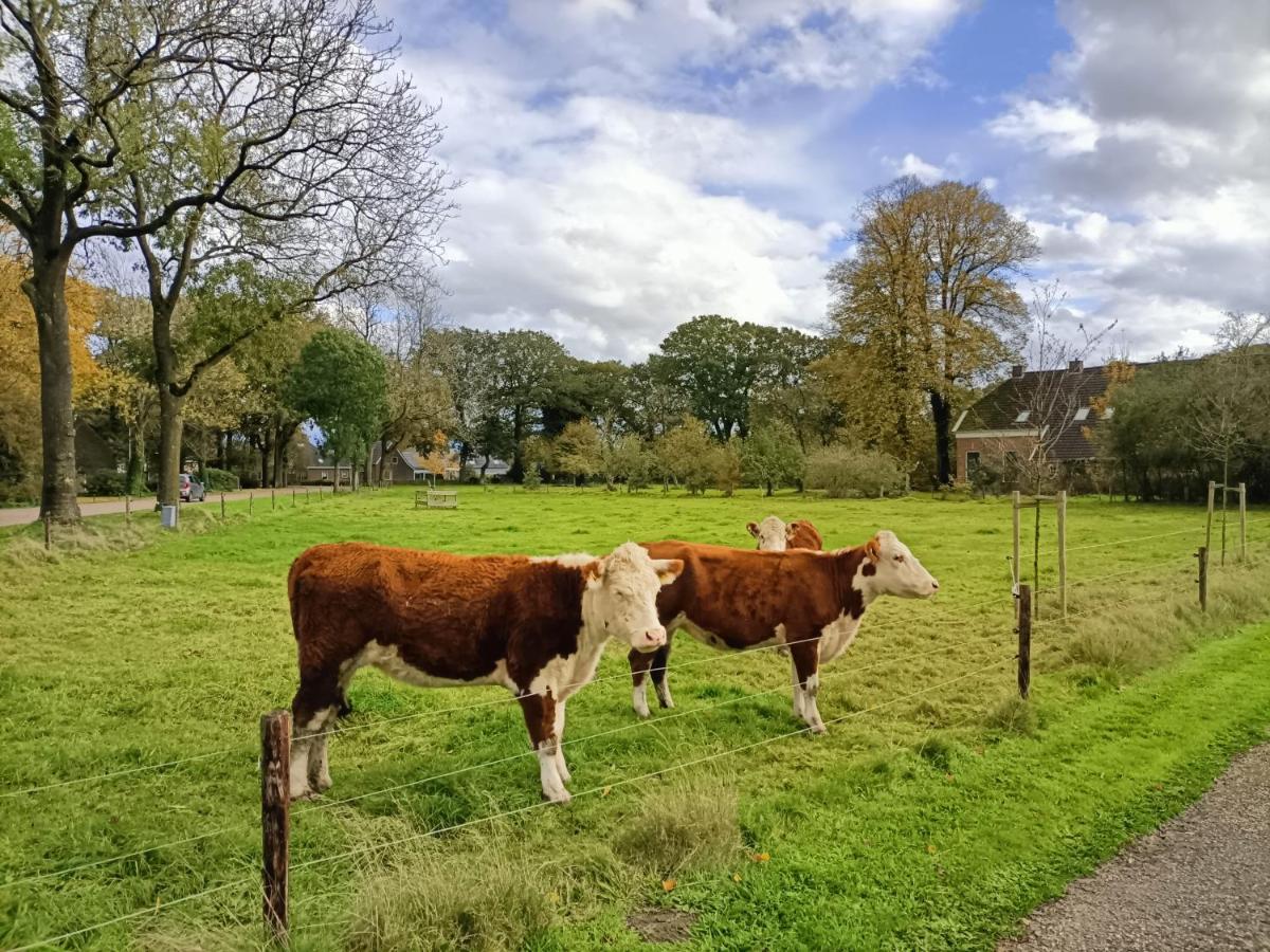 De Lindenhoeve Valthe Exterior photo